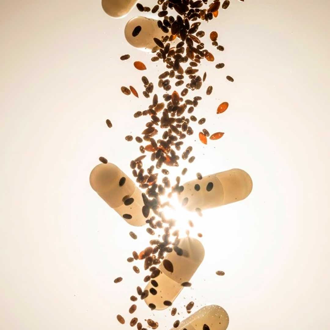 HIT® Chía en Cápsulas 30 pzs | Cápsulas de Aceite de Chía de Origen Natural | Suplemento Alimenticio | Uso Adulto - Image 5